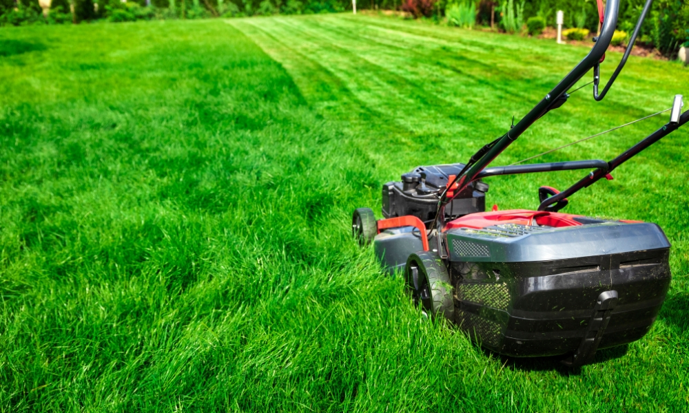 lawn mowing and maintenance in Knoxville TN